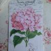 Etiquette Message Fleur Hortensia