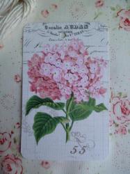 Etiquette Message Fleur Hortensia