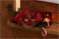 C'est Noël