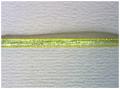 Ruban Organza Vert
