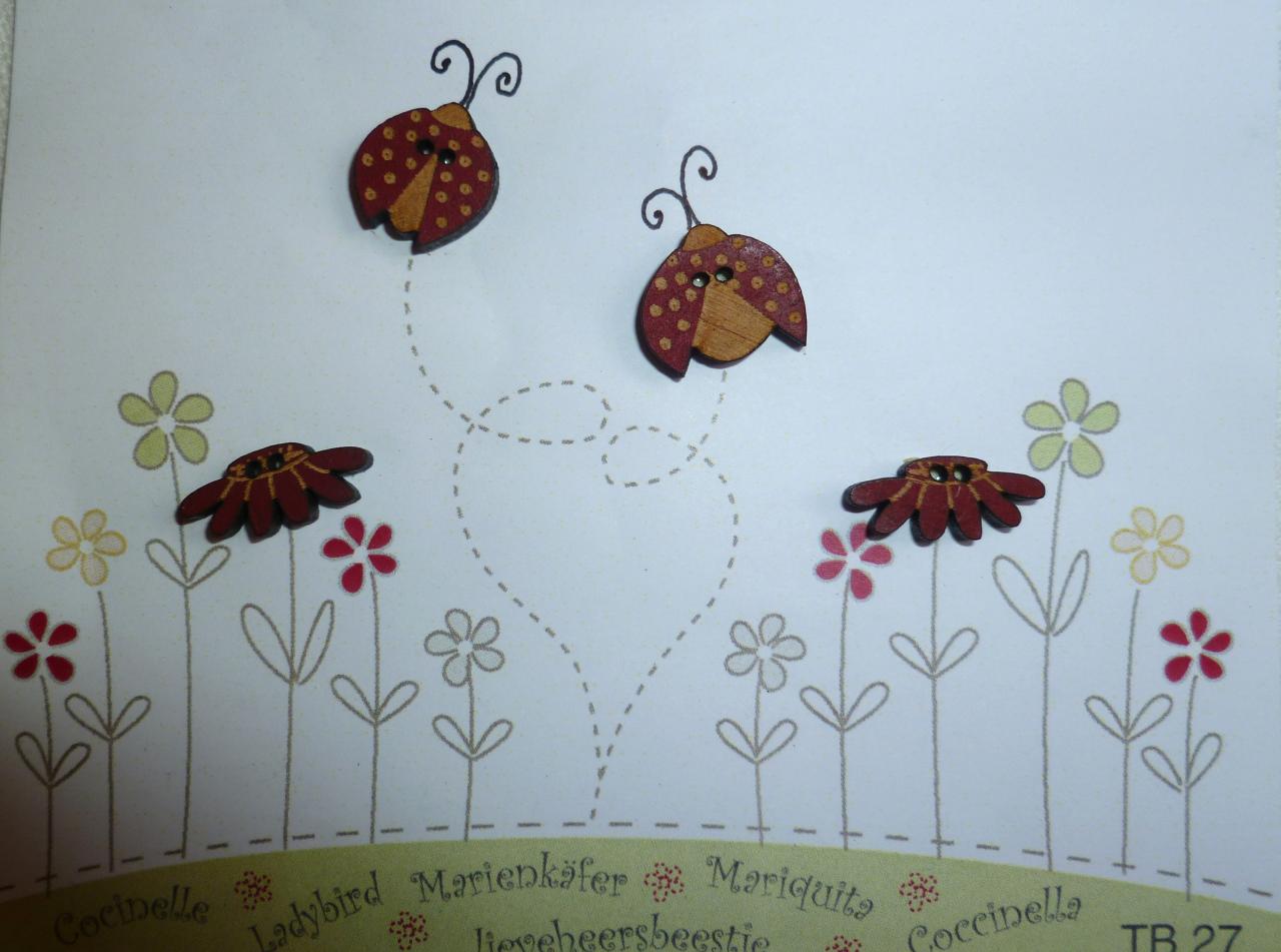 coccinelles-tb27.jpg