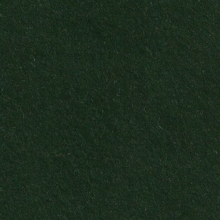 Feutrine vert bouteille cp042