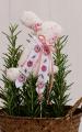 Kit Lapin Motif Roses