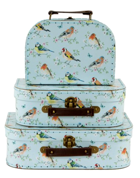 Lot de 3 valisettes oiseaux