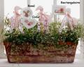 Pique Fleur Blanc Rond Rico Design