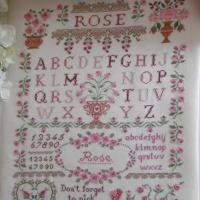 21 01 17 rose sampler 016 copia