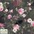 4500 744stof juliet roses