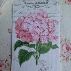 Etiquette Message Fleur Hortensia