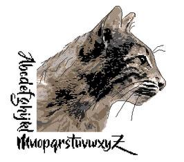 A pattes de velours bdn66 isabelle haccourt vautier