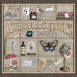 Cabinet de Curiosités 153 Madame la Fée