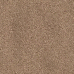 Feutrine Cinnamon Patch 30 x 45 cm CAMEL CP088