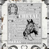 Cheval mon ami bdn17