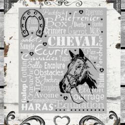 Cheval mon ami BDN17 Isabelle Haccourt Vautier