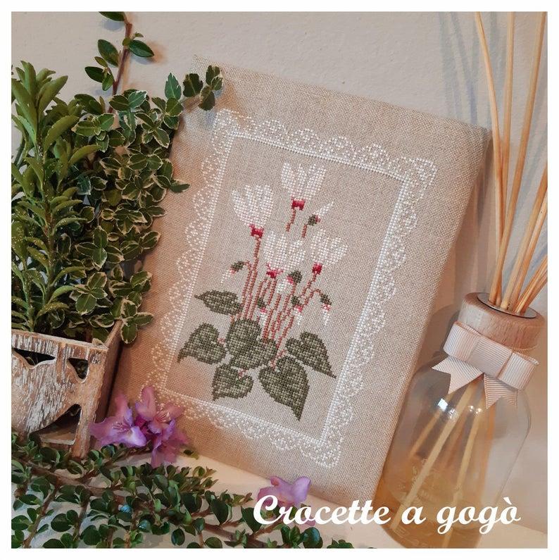 Ciclamini d autunno 2