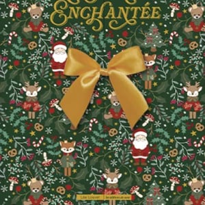 Coffret calendrier de l avent feutrine la foret enchantee la boutique de brode41