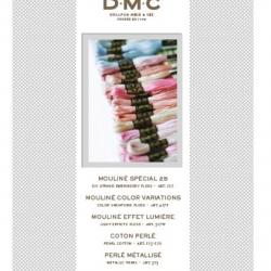 Nuancier DMC - W100B