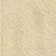 Feutrine Cinnamon Patch 30 x 45 cm ECRU CP047