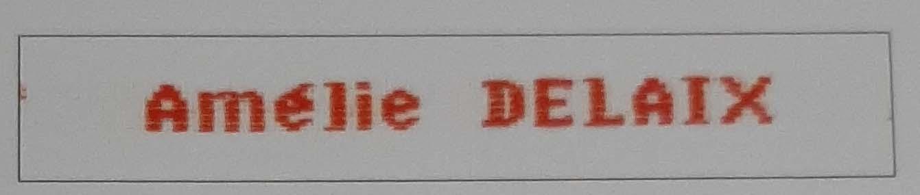 Etiquettes nom et prenom brodees pour vetements rouge modele n