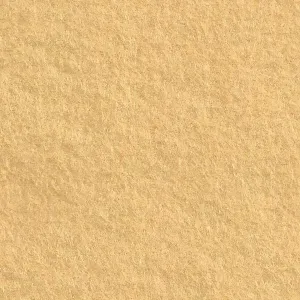 Feutrine Cinnamon Patch 30 x 45 cm CREME DE LA CREME CP135