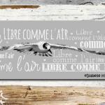 Fiche broderie libre comme air bdn44 isabelle haccourt vautier