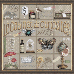 Fiche broderie madame la fee cabinet de curiosites 153