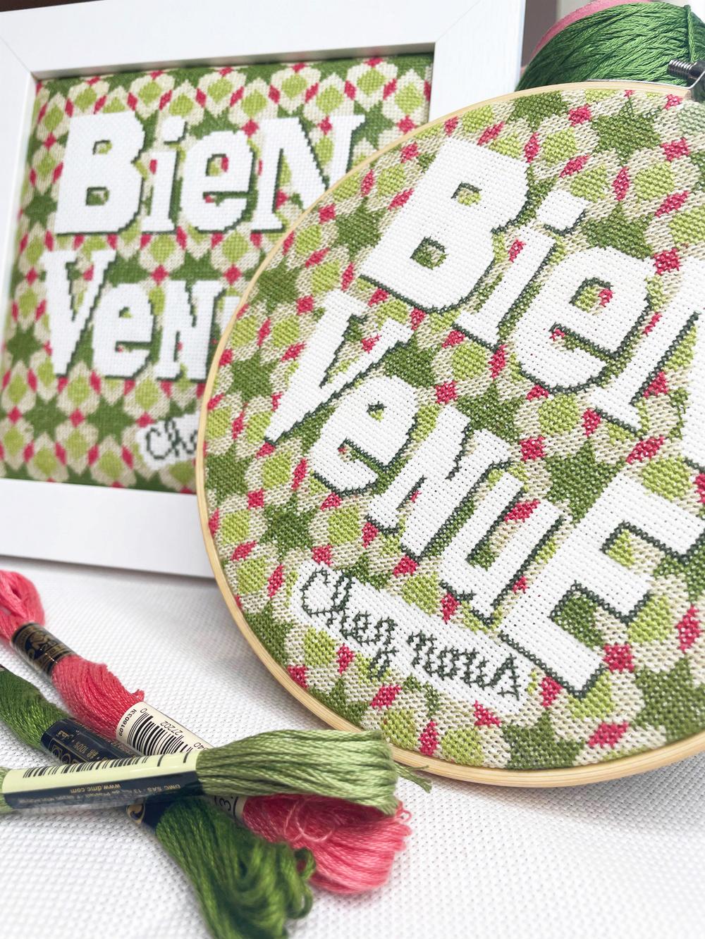 Fiche de broderie bienvenue w007 lilipoints 2