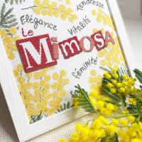 Fiche de broderie le mimosa j022 de chez lilipoints 3