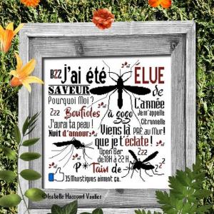 Fiche isabelle haccourt vautier bdn 68 saveurs de l annee la boutique de brode41
