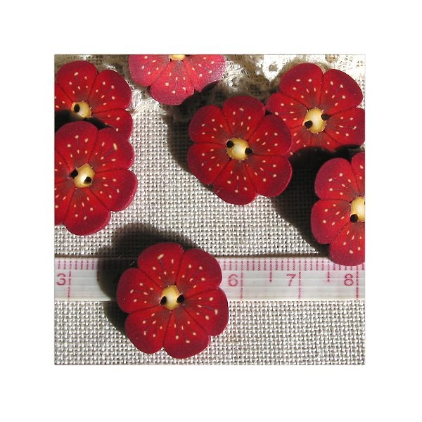 Fleur rouge n1