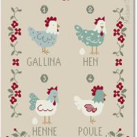 Galline 4