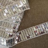 Galons Paillettes Argent 20mm