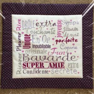 Fiche broderie super amie bdn30 isabelle haccourt vautier