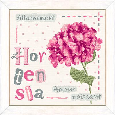 Hortensia rose
