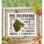 Isabelle vautier bdn57 aiguille pomme de pin fiche broderie