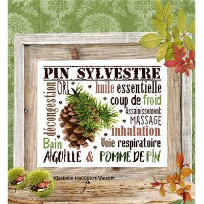 Aiguille & Pomme de Pin BDN57 Isabelle Haccourt Vautier