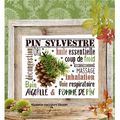 Isav bdn57 aiguille pomme de pin