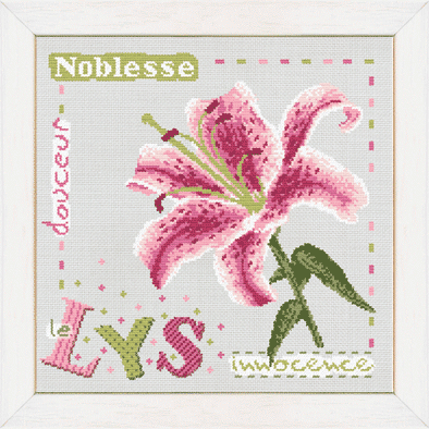 J005 lys