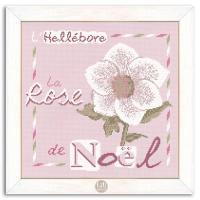 La rose de noel j006 collection jardin lilipoints fiche broderie