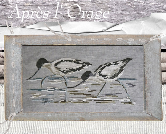 L avocettes apres l orage port10
