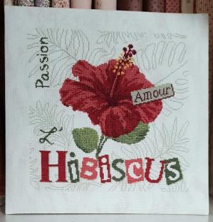 L hibiscus de lilipoints j021 1