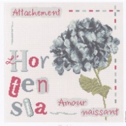 L hortensia