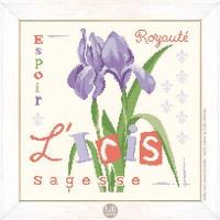 L iris lilipoints fiche broderie collection jardin