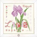 L iris lilipoints fiche broderie collection jardin