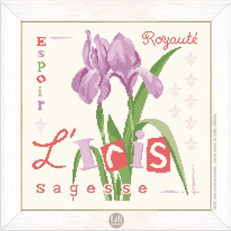 L iris lilipoints1