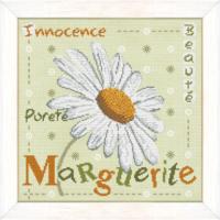 La Marguerite J004 Lilipoints