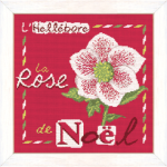 La rose de noel j006 collection jardin lilipoints fiche broderie