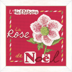La rose de Noël J006 Lilipoints