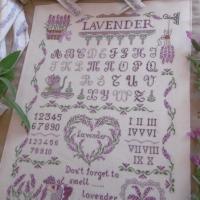 Lavender sampler 1