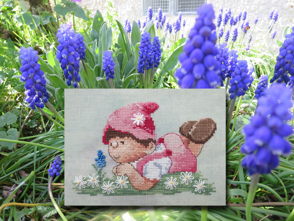 Le muscaris 1019 au fil de martine