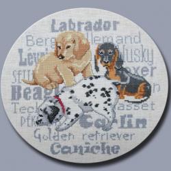 Les Chiots N° 1016 Au Fil de Martine